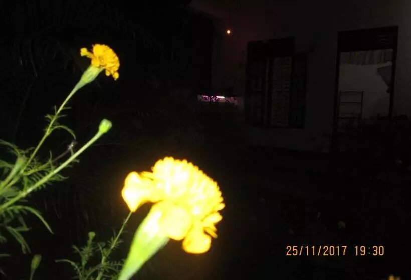 ペンション Ariyawansa Guest House