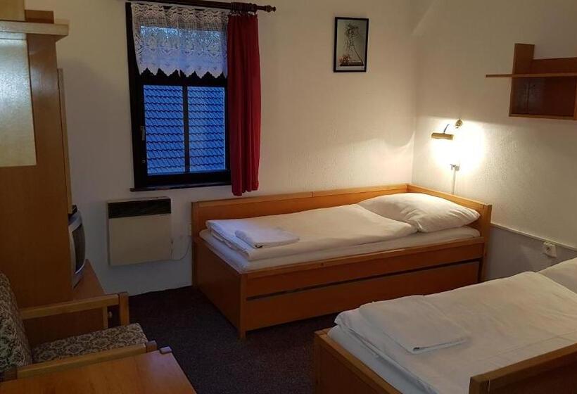 펜션 Penzion Přeštěnice