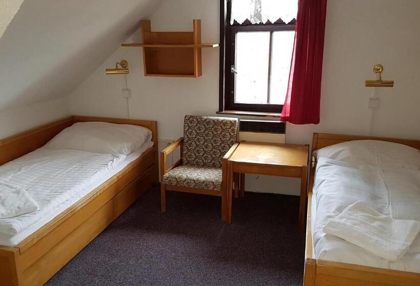 펜션 Penzion Přeštěnice