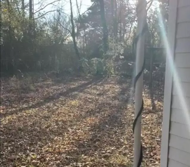 Majatalo Small Private Get Away, Tiny Home Garage Studio Apartment