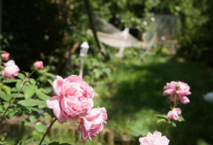 پانسیون The Prophecy Of Light Retreat