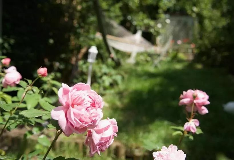 Majatalo The Prophecy Of Light Retreat