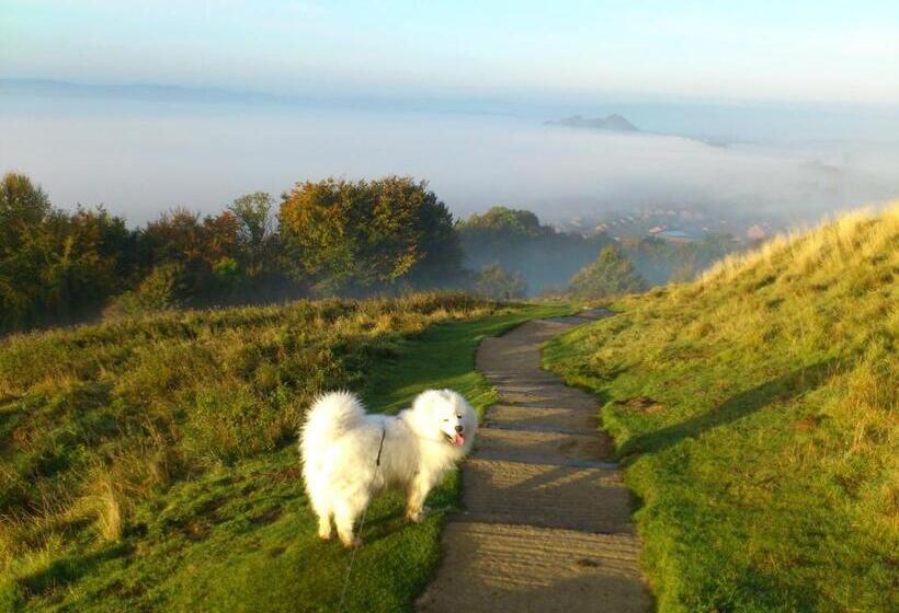 پانسیون The Prophecy Of Light Retreat