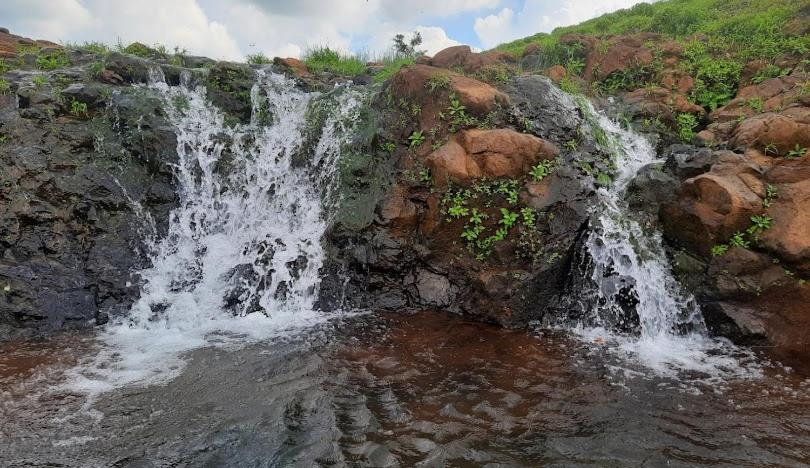 Hotell Hiranya Farm Stay