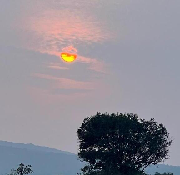 Hotell Hiranya Farm Stay