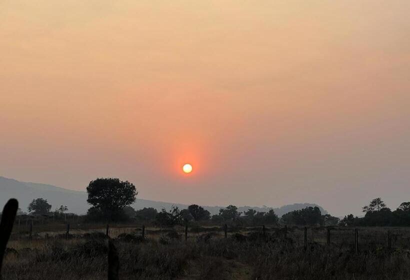 Hotell Hiranya Farm Stay