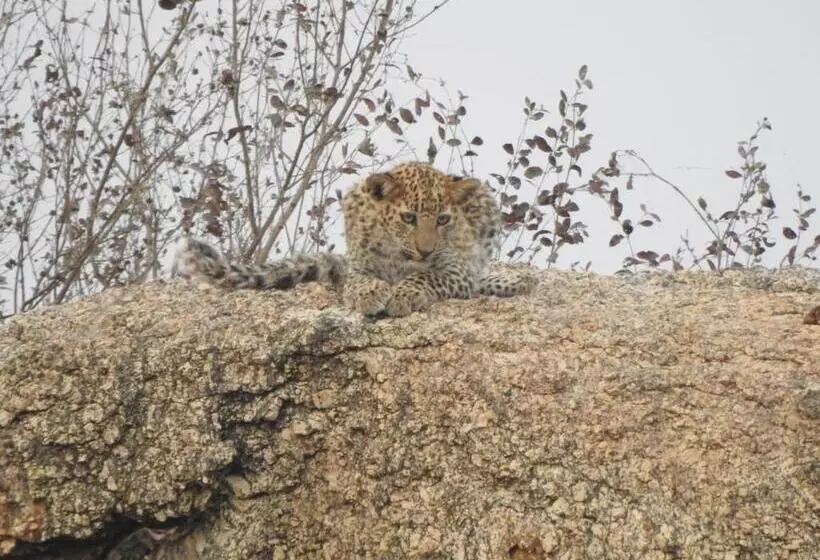 ホテル Jawai Rock