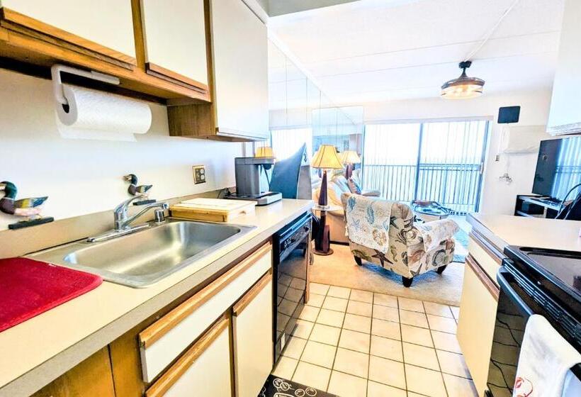 Hotel Pintail Point Unit 305