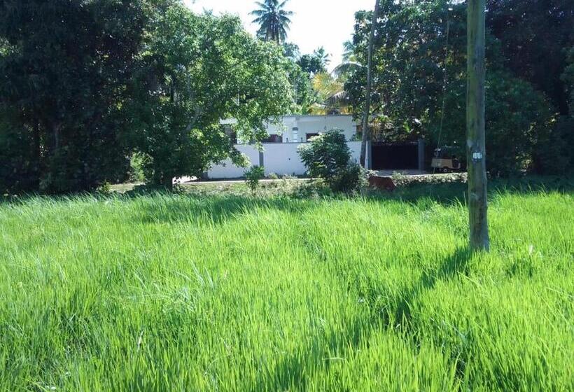 Pensionat Free Breeze Guest