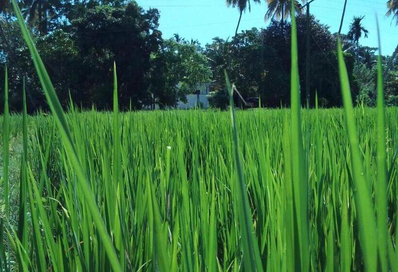 Pensionat Free Breeze Guest