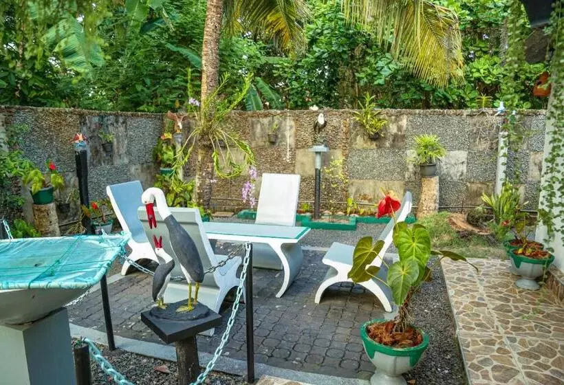 Aamiaismajoitus (B&B) Avian Villa Hikkaduwa