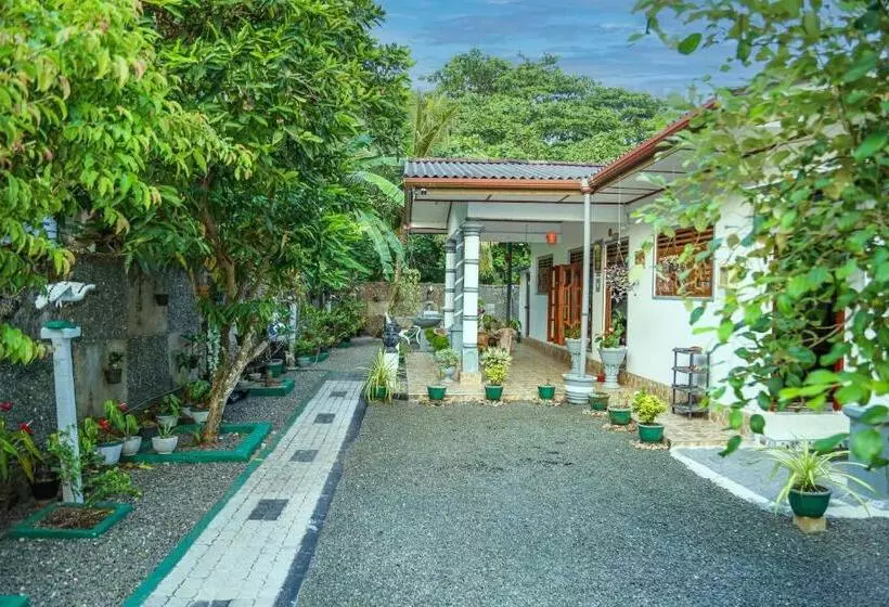 Aamiaismajoitus (B&B) Avian Villa Hikkaduwa