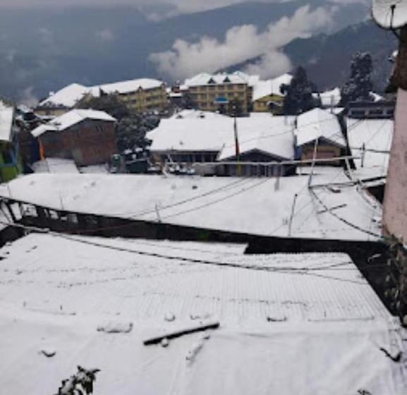 Darjeeling Hotel Summer Palace , Darjeeling