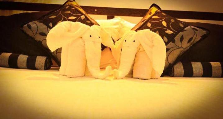 Szálloda The Beauty Of Udawalawa