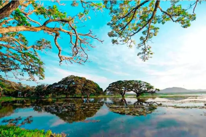 ホテル The Beauty Of Udawalawa