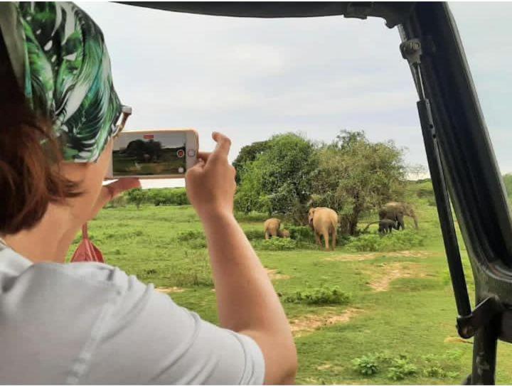 Szálloda The Beauty Of Udawalawa