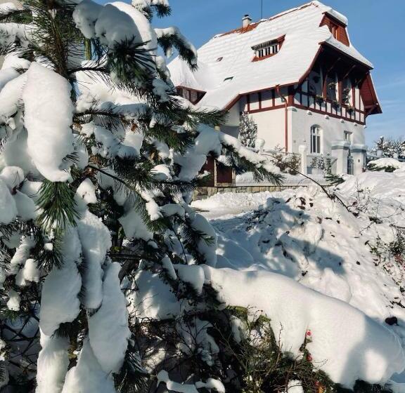 פנסיון Ubytování Javorka