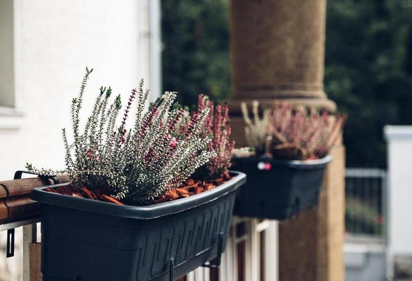 פנסיון Ubytování Javorka