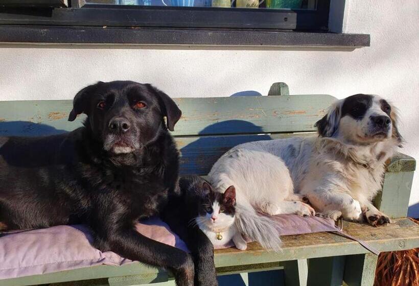 Great Lawn B&b  16km From Town Centre