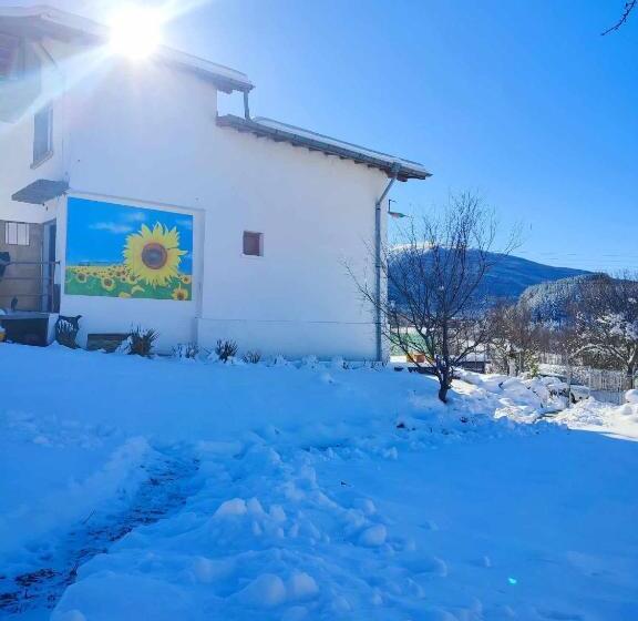 Пансион къща за гости балканъ