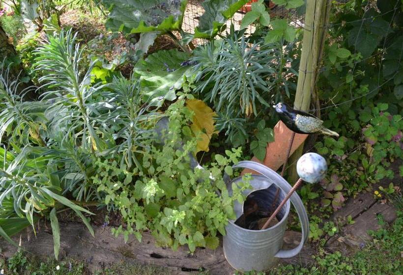 Bed and Breakfast Chambre D Hôtes Plesnois