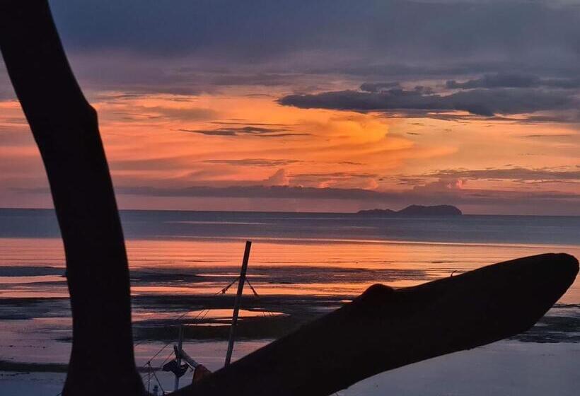 Bed and Breakfast Voodoo House