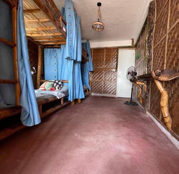 Bed and Breakfast Voodoo House