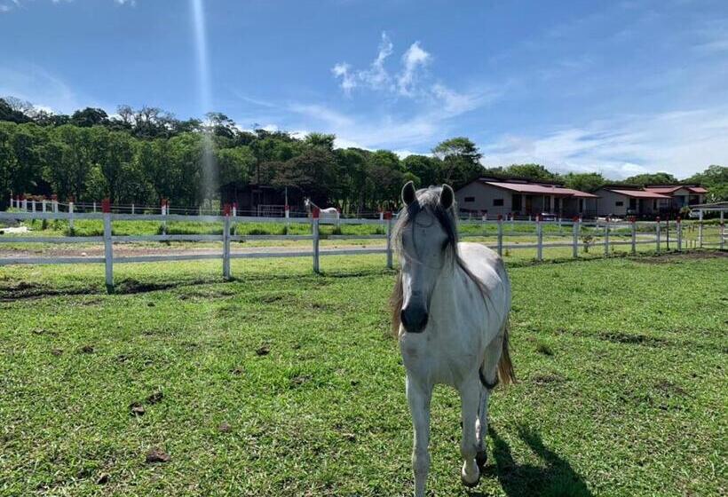 مبيت وإفطار Almore