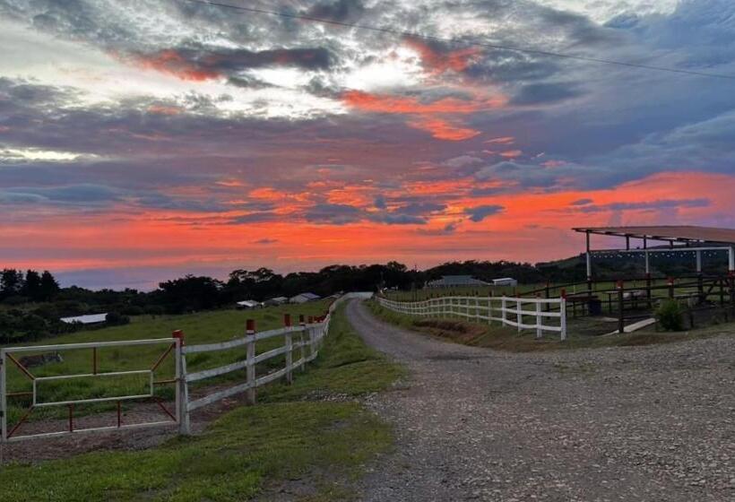 مبيت وإفطار Almore