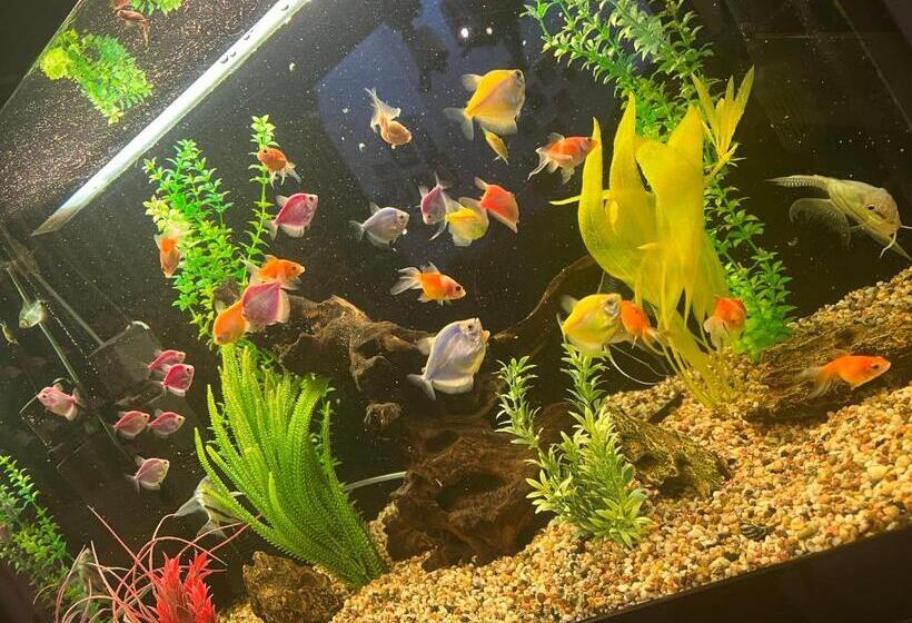 Hotel южен полъх Italian Style