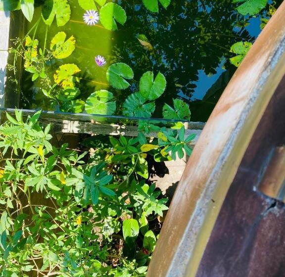 פנסיון Villa Kabalana 57