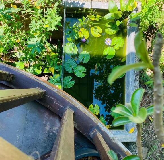 פנסיון Villa Kabalana 57