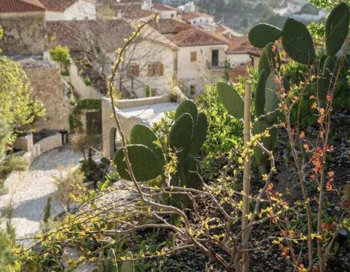 استراحتگاه Zoe Hora