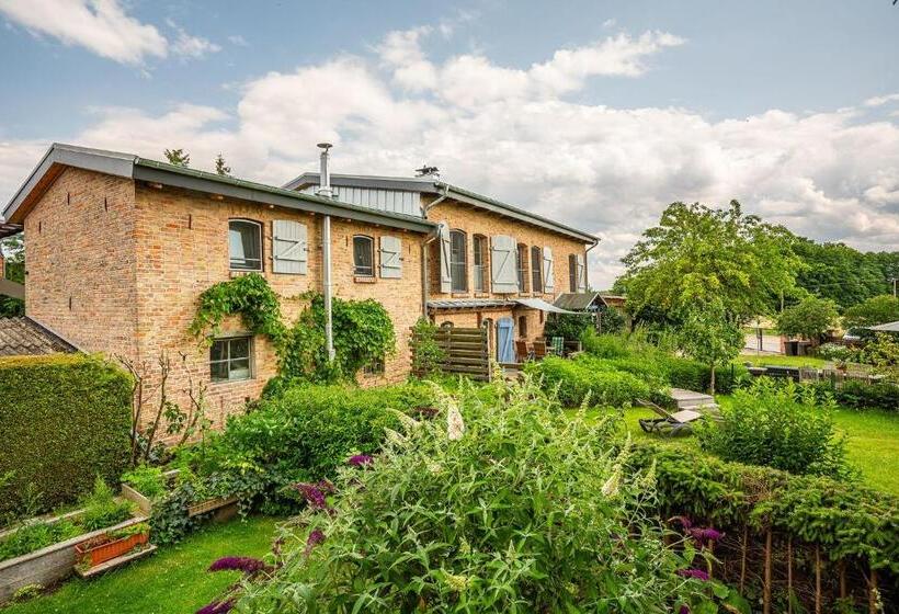 Отель Das Backsteinhus Die Insel Von Ihrer Schönsten Seite