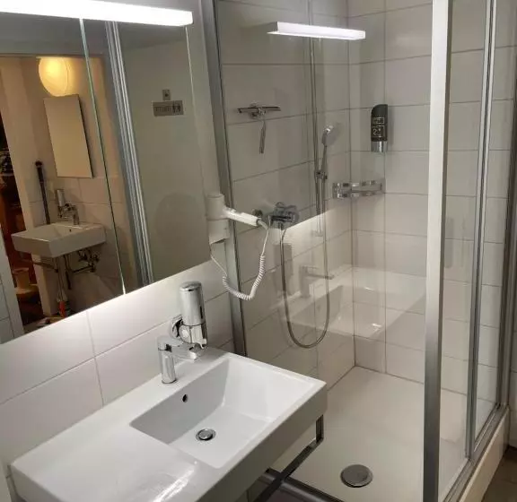 Hotelli Swiss Bellevue Aathal