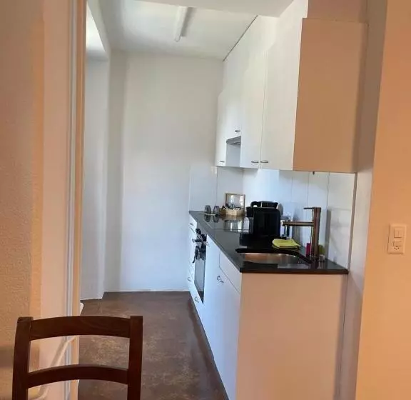 Hotelli Swiss Bellevue Aathal