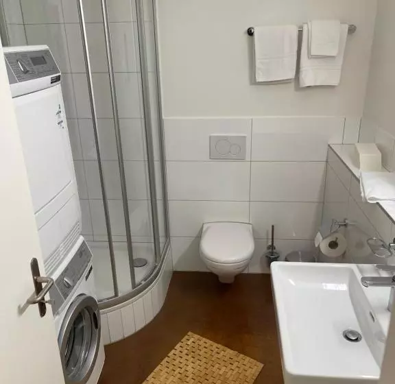 Hotelli Swiss Bellevue Aathal