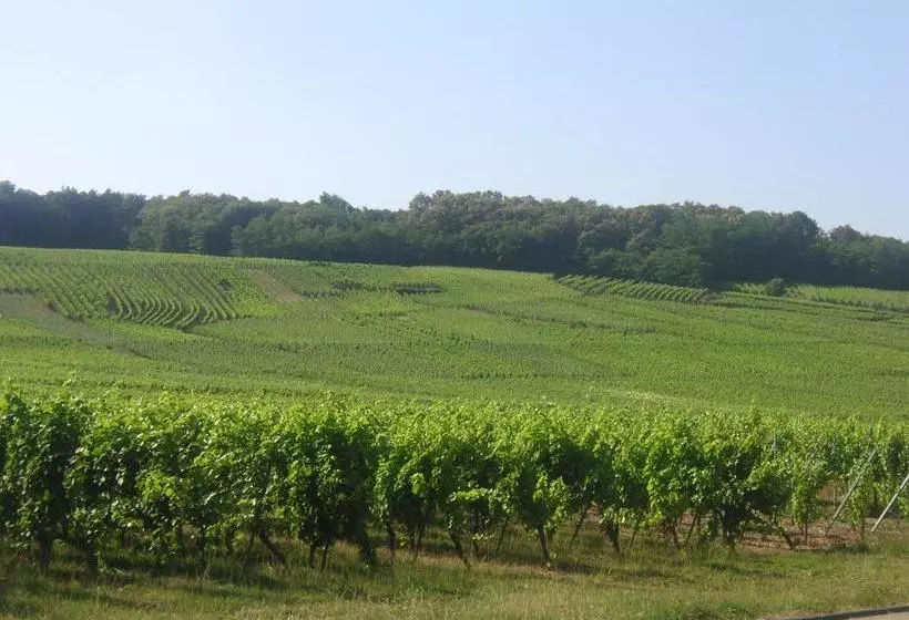 ベッドアンドブレックファースト Chambre D'hôtes Du Zellberg