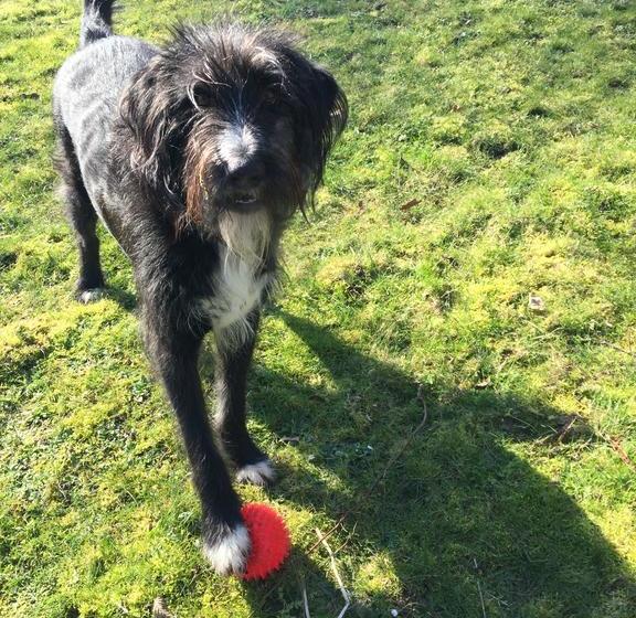 צימר Au Prince Grenouille