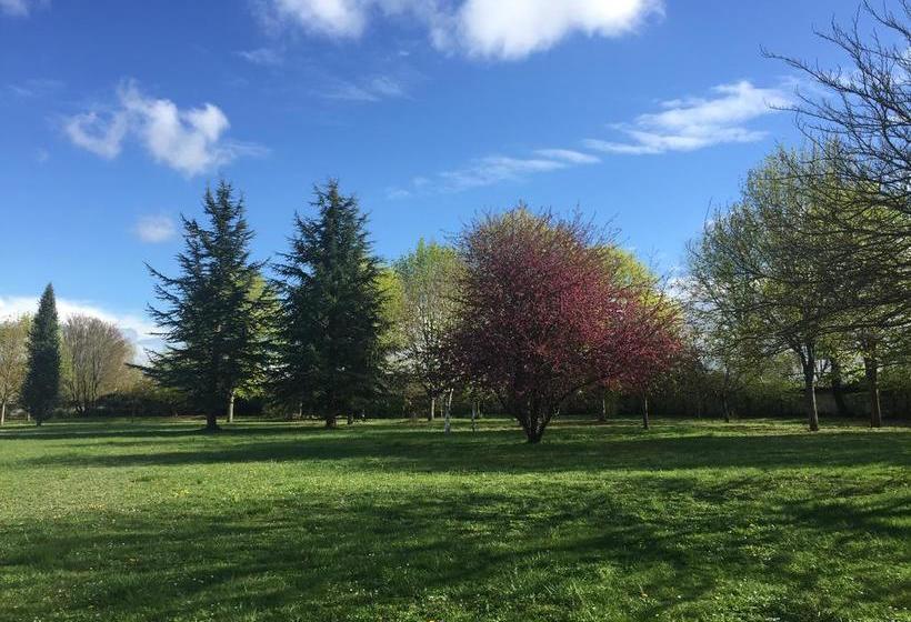 צימר Au Prince Grenouille