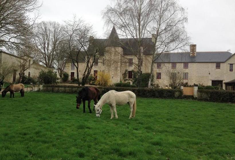 צימר Au Prince Grenouille