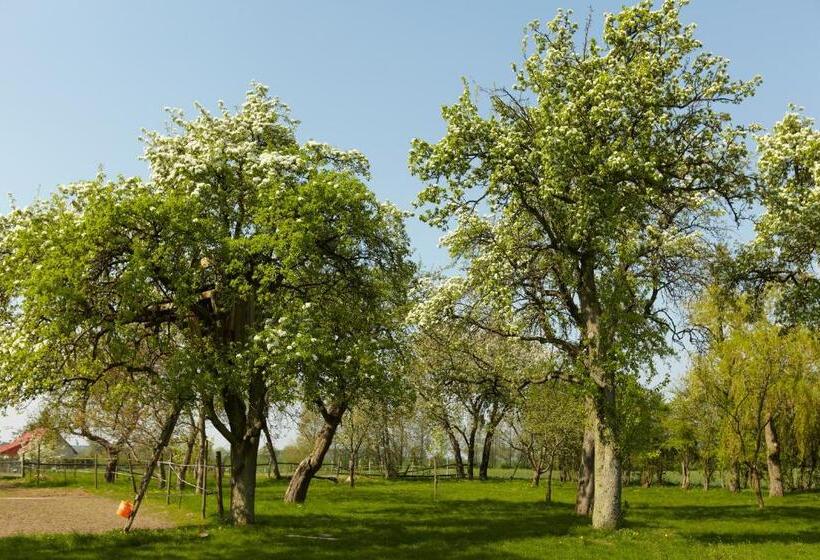 住宿加早餐  Gutshaus Lexow