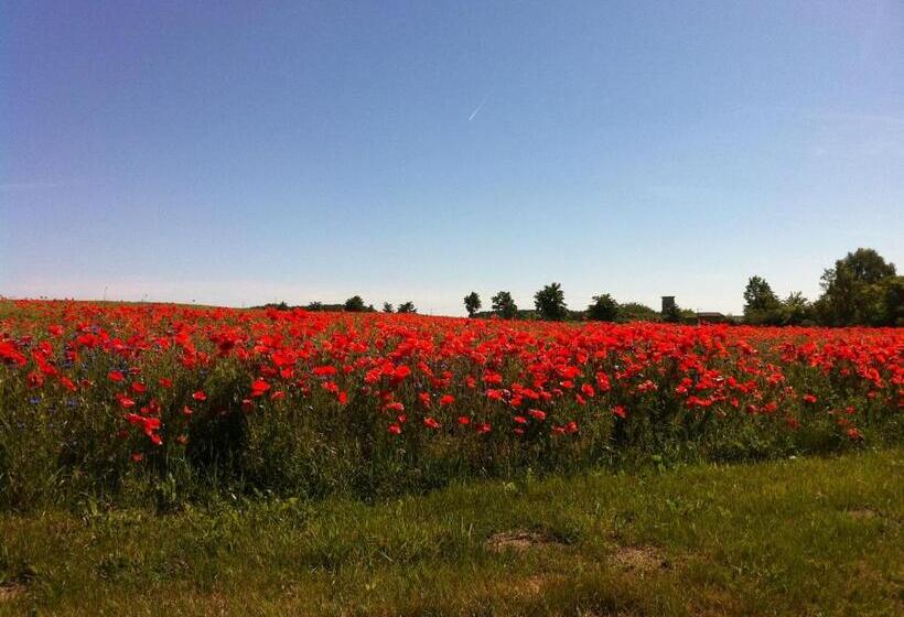 住宿加早餐  Gutshaus Lexow
