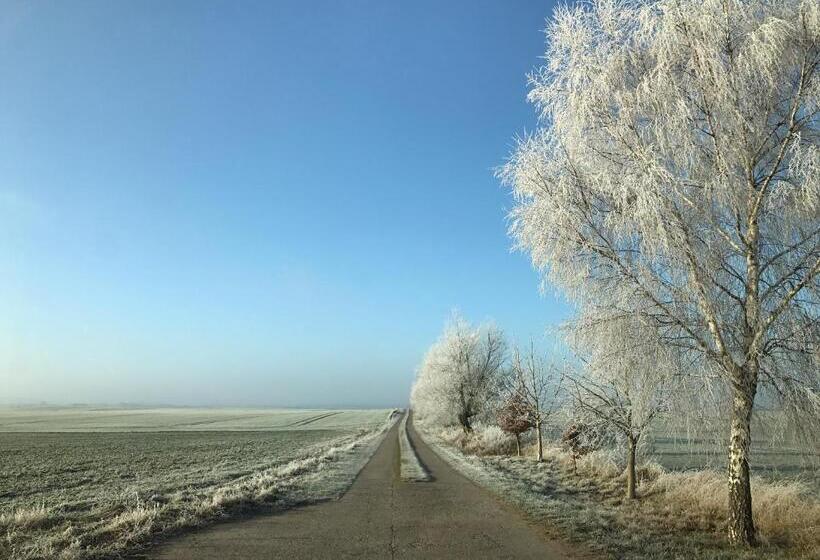 住宿加早餐  Gutshaus Lexow
