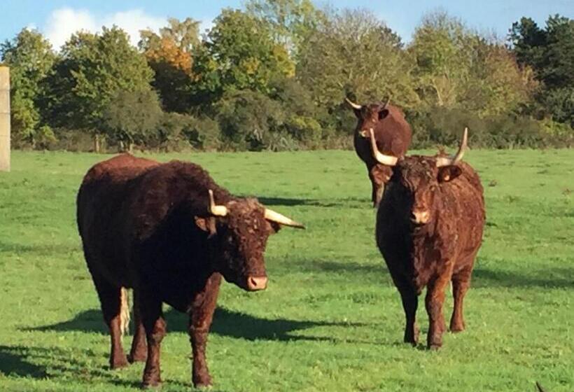 住宿加早餐  La Musardine En Vexin