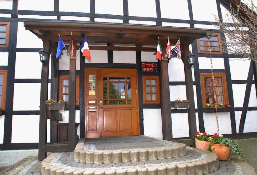 Отель Alte Schule