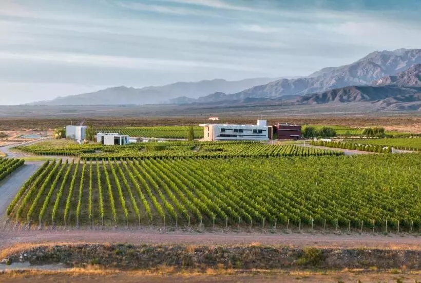 ホテル Casa De Uco Vineyards And Wine Resort