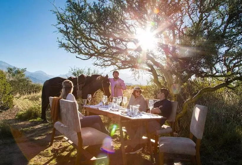 ホテル Casa De Uco Vineyards And Wine Resort