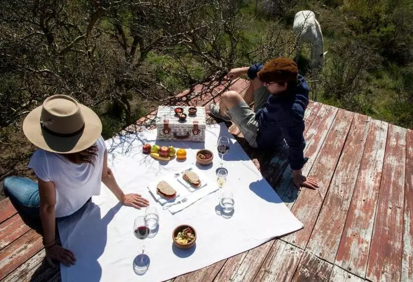 ホテル Casa De Uco Vineyards And Wine Resort