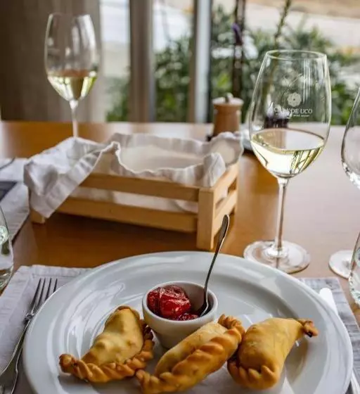 ホテル Casa De Uco Vineyards And Wine Resort